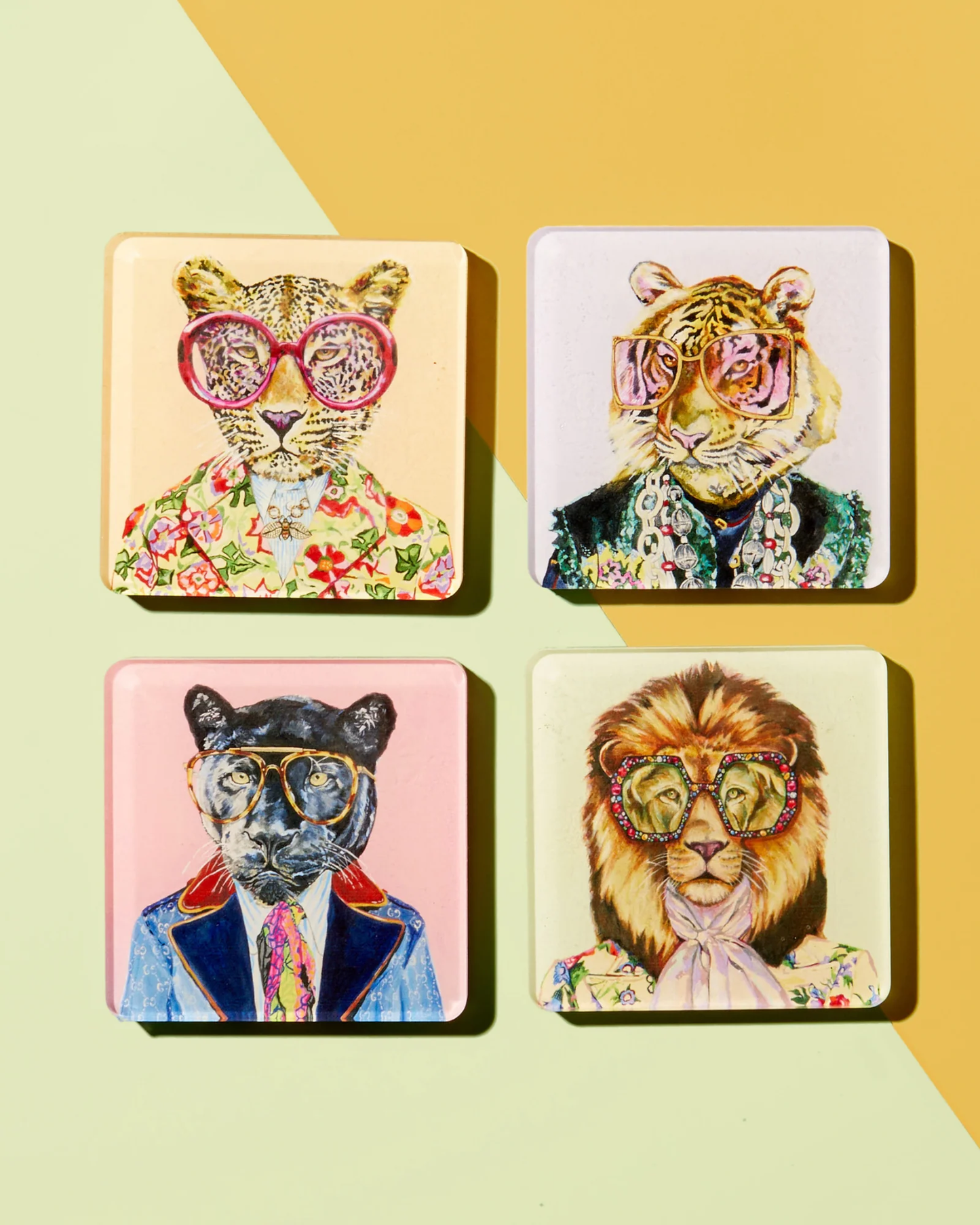 Big Cats Coasters Set of 4